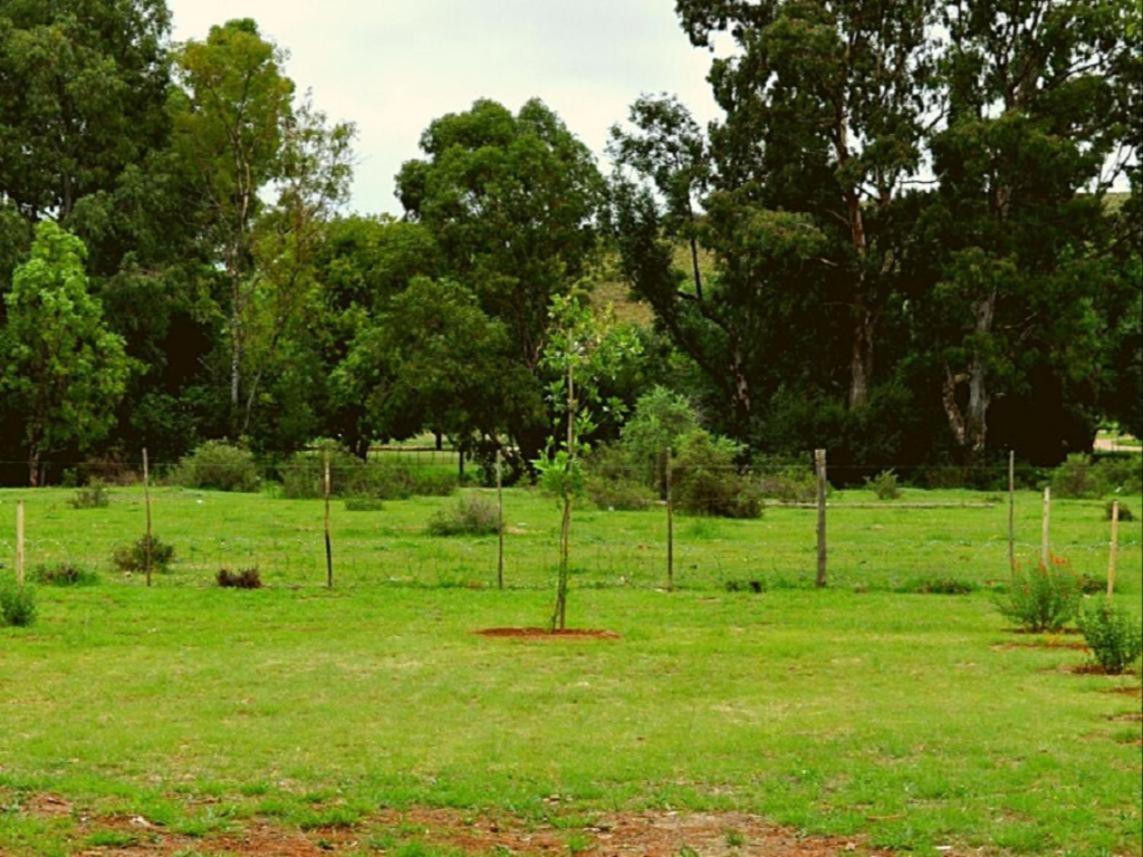 Little Farms Ξενοδοχείο Colesberg Εξωτερικό φωτογραφία