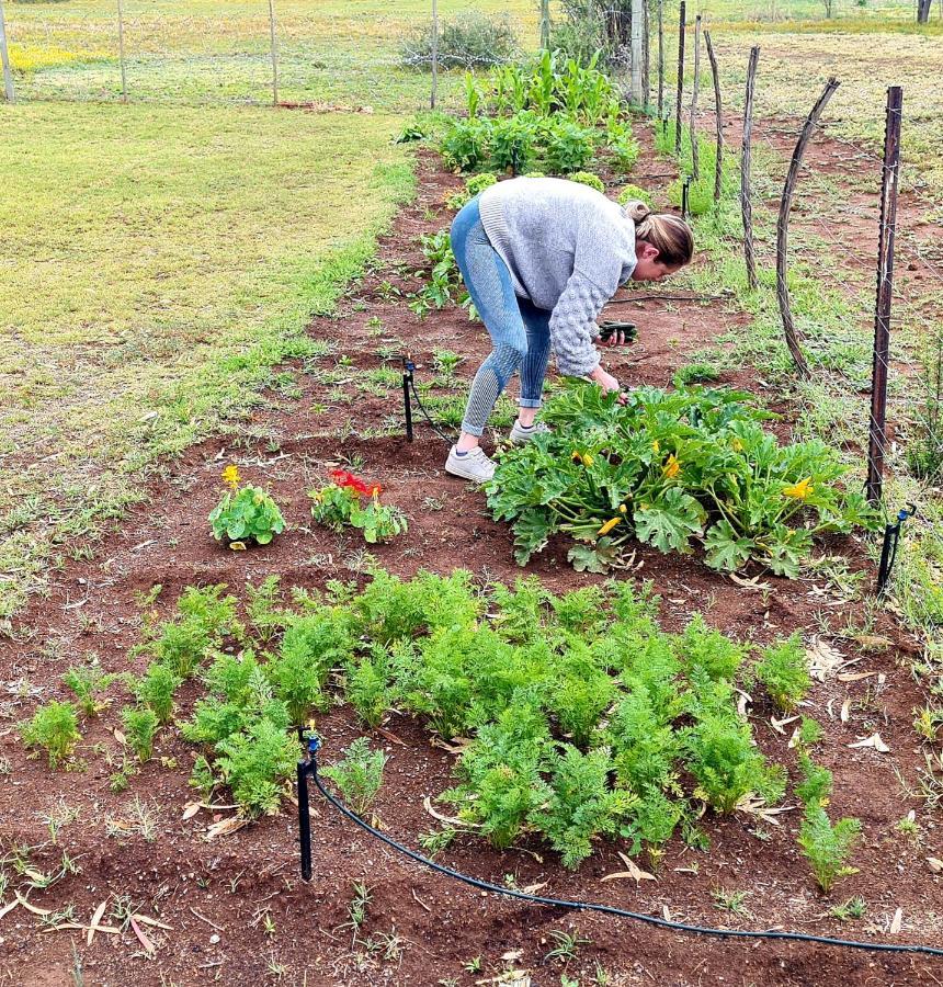 Little Farms Ξενοδοχείο Colesberg Εξωτερικό φωτογραφία